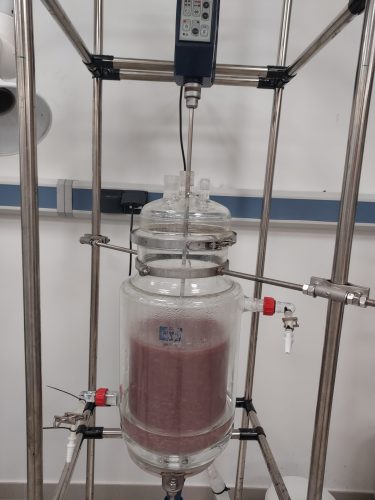 Protein extraction process (15 L reactor)